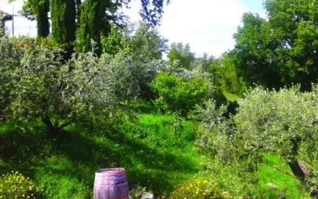 L'Oro di Cicognola