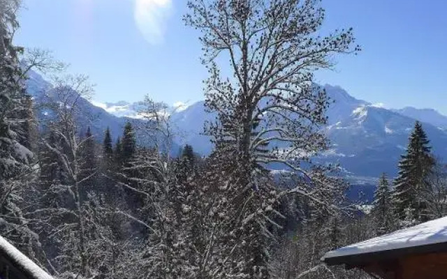Chalet Chesières 1562