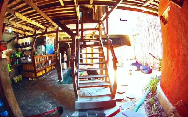 The Rabbit Tree - Hostel