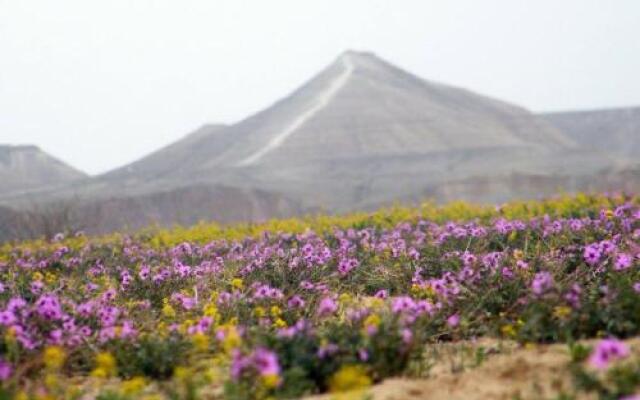 Yvonne's Home Sde Boker