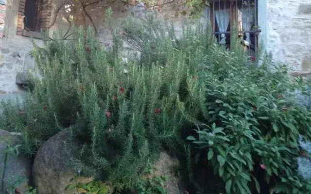 Farmstay Agriturismo Prunara