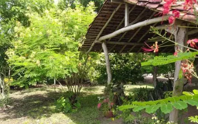 La Rosa de Los Vientos