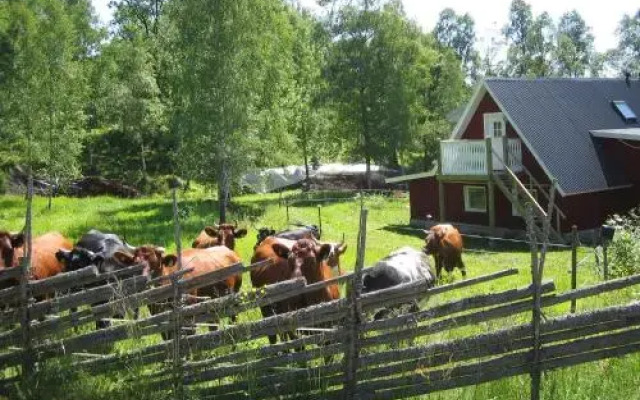 Cottage Ålaryd