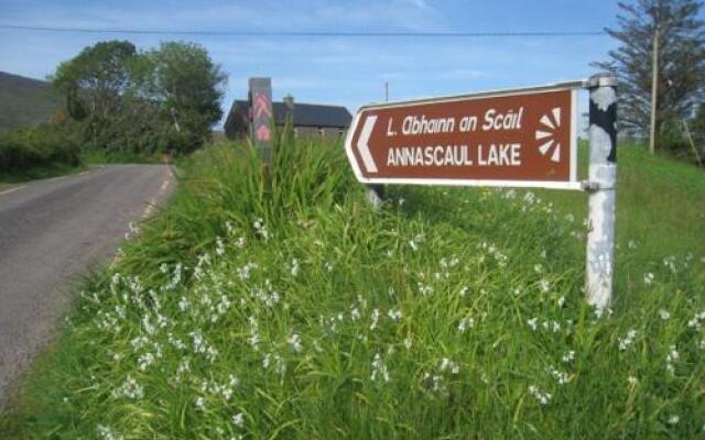 Paddys Palace Dingle Peninsula