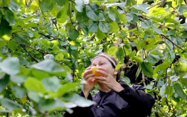 Landidyll Hotel „Alter Hof am Elbdeich“