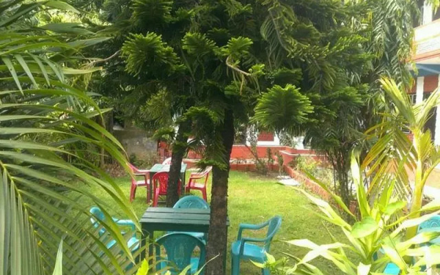 Kiwi Guest House
