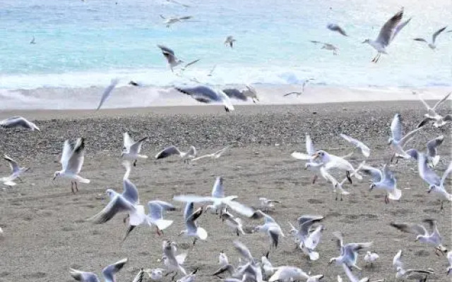 Marifra Beach