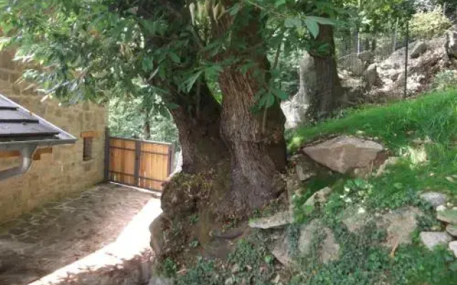 Agriturismo Ai Ronchi