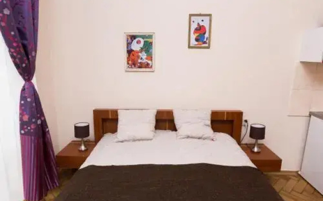 Erasmus Student Apartments - Old Town