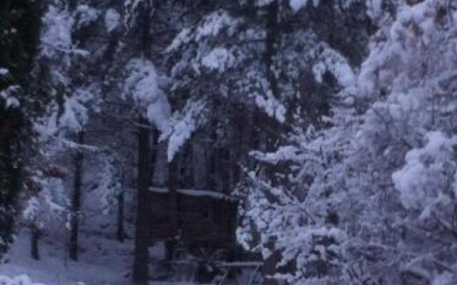 Bergerie de charme à Moustiers