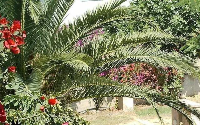 Affittacamere Albaruia