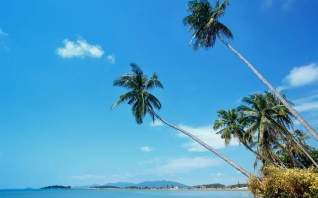 Samui Paradise Village