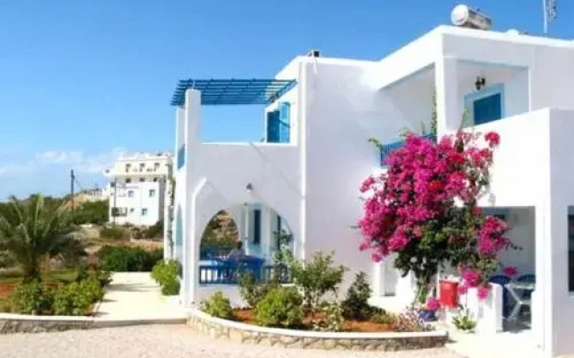 Sunflower studios