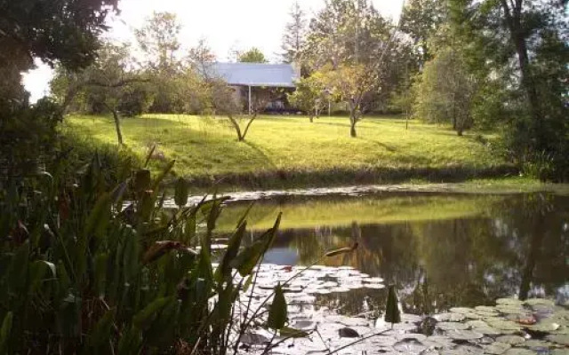 Peace of Eden Eco Forest Retreat