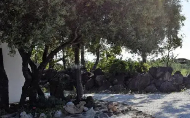 La Ginestra