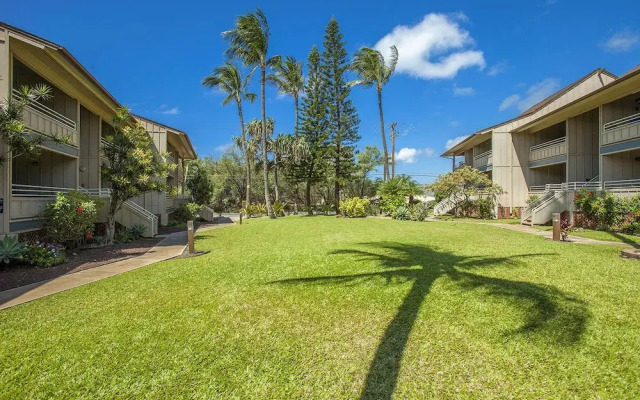 Kihei Bay Vista #C-206