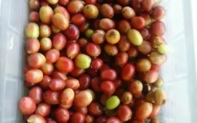 Refugio La Brisa del Diablo Bed&Breakfast