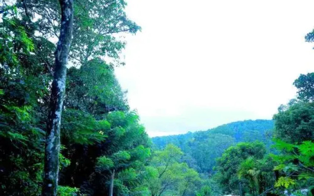 Secret Nest Homestay