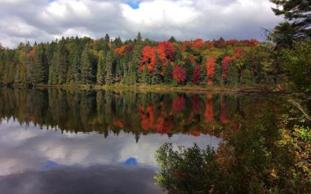 Madawaska Lodge-Camping Cabins