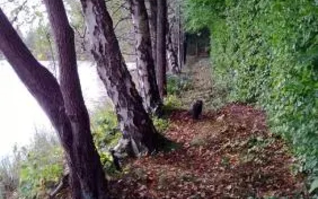 La cabane sur l'eau