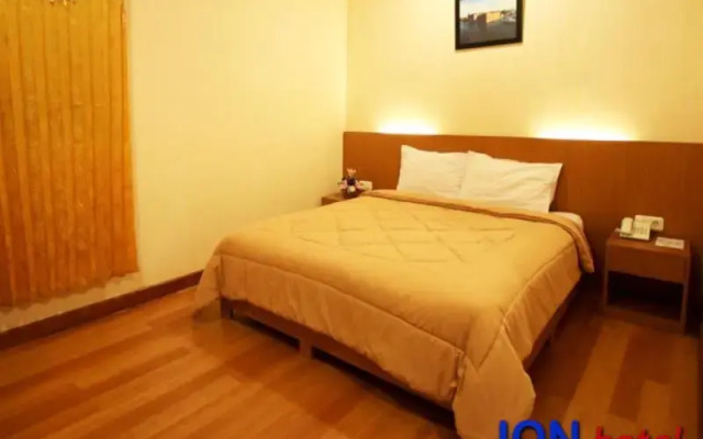Ion Hotel