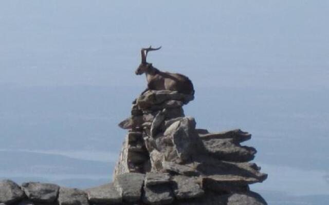 La Pasailla de Gredos