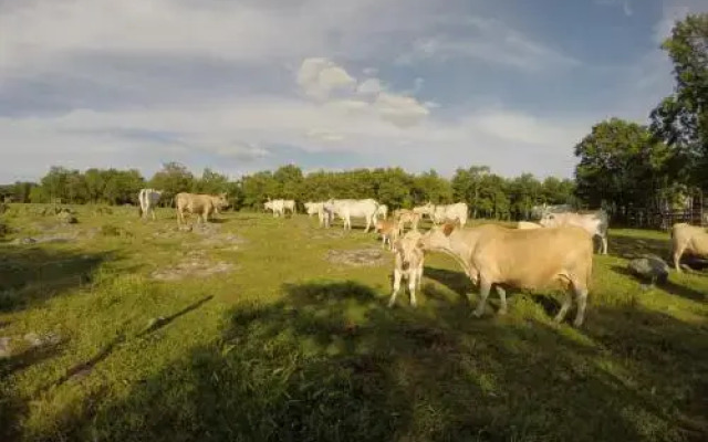 Agriturismo Poggio Della Capanna