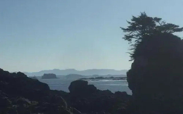 The Lighthouse Bed and Breakfast