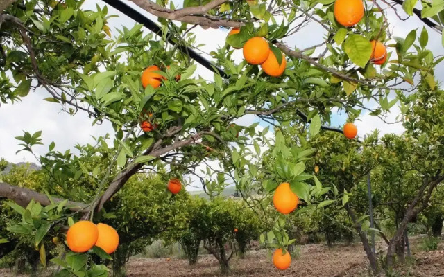 Tenuta Lanza Il Mulino
