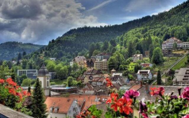 Aparthotel Schwarzwald Panorama