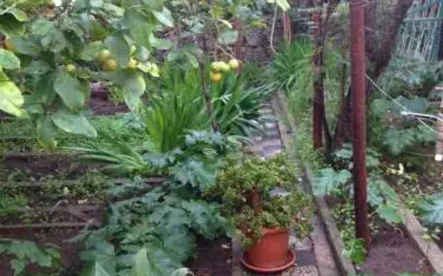 Il giardino di Tatiana