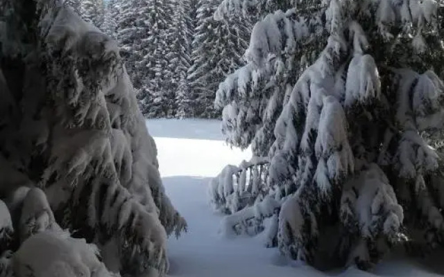 Chalet Les Maigres