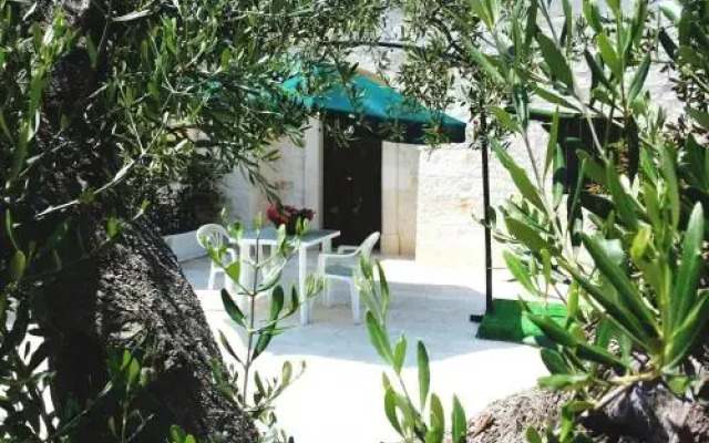 Dimora Matarrese B&B Trulli