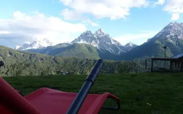 Galler am Berg