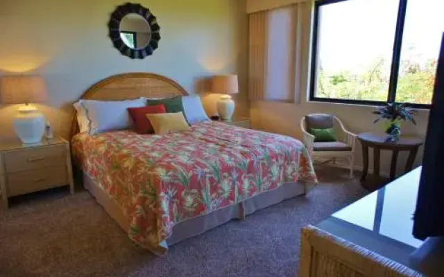 Waikoloa Fairways A203