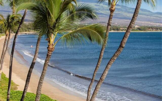 Sugar Beach 317 - 1 Br Condo