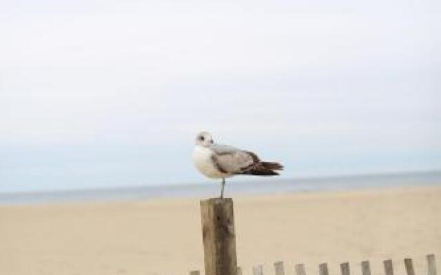 The Colony Apartments