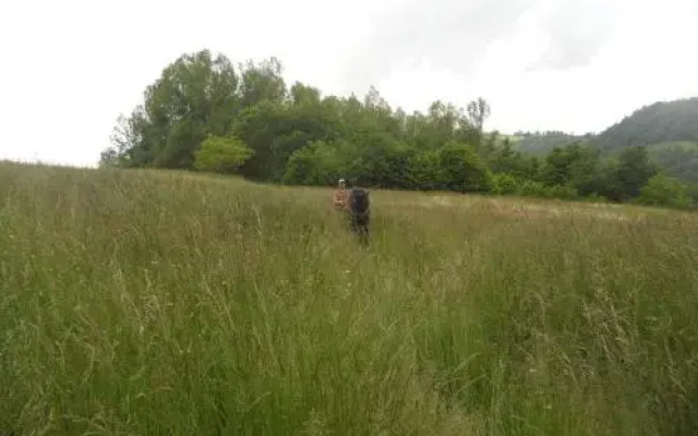 I Pascoli Di Amaltea