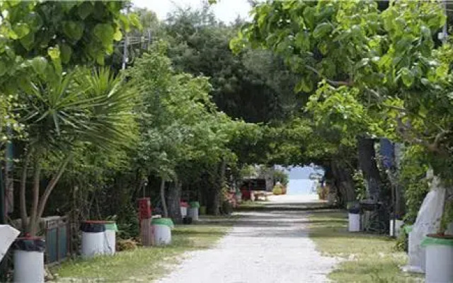 Argolic Strand Camping