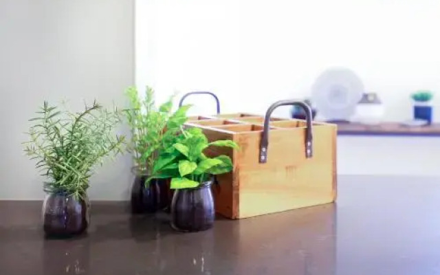 Vibrant inner-city living - Darling Harbour fringe
