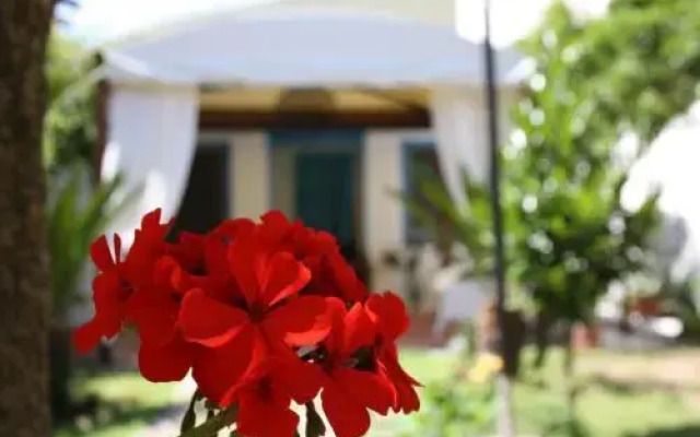 Blue B&B