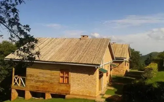 Gorilla Safari Lodge