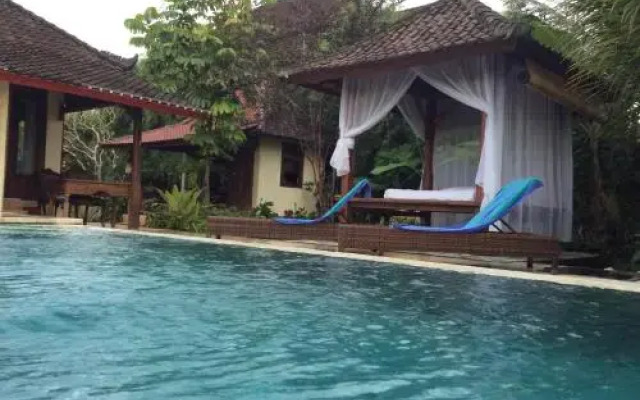 Ubud Rice Field Villa