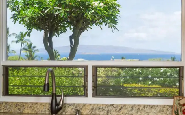 Wailea Ekolu #501