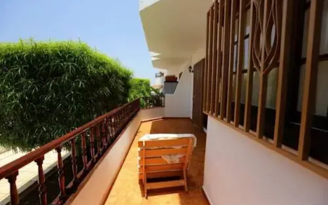 Buganvillas