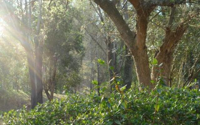 Cabañas La Serranita