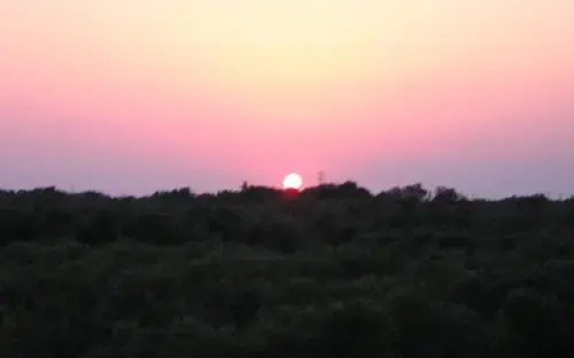 Azienda Agrituristica B&B La Torre