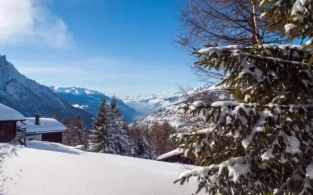 Chalet Panorama
