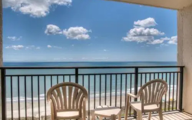 Ocean Forest 2011