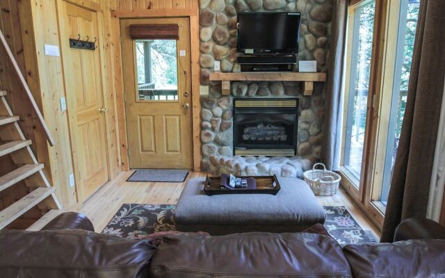 Pine Cone - Hocking Hills